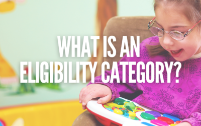 What is an Eligibility Category?